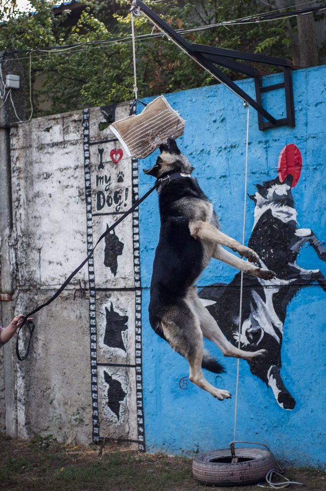 Photograph by Виола Поликарпова