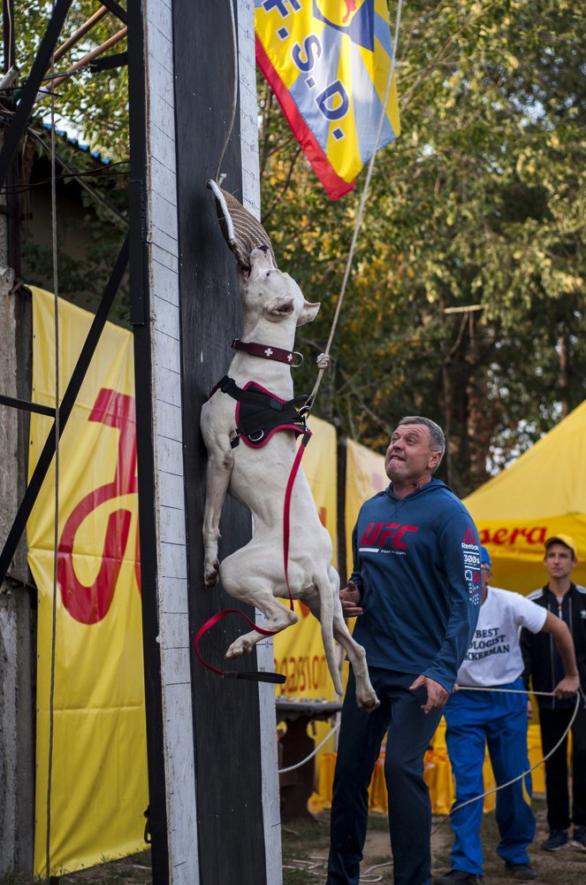 Photograph by Виола Поликарпова