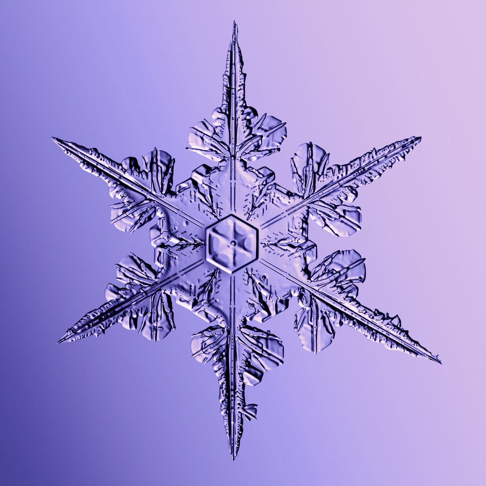 Photograph by Тимофей Черепанов