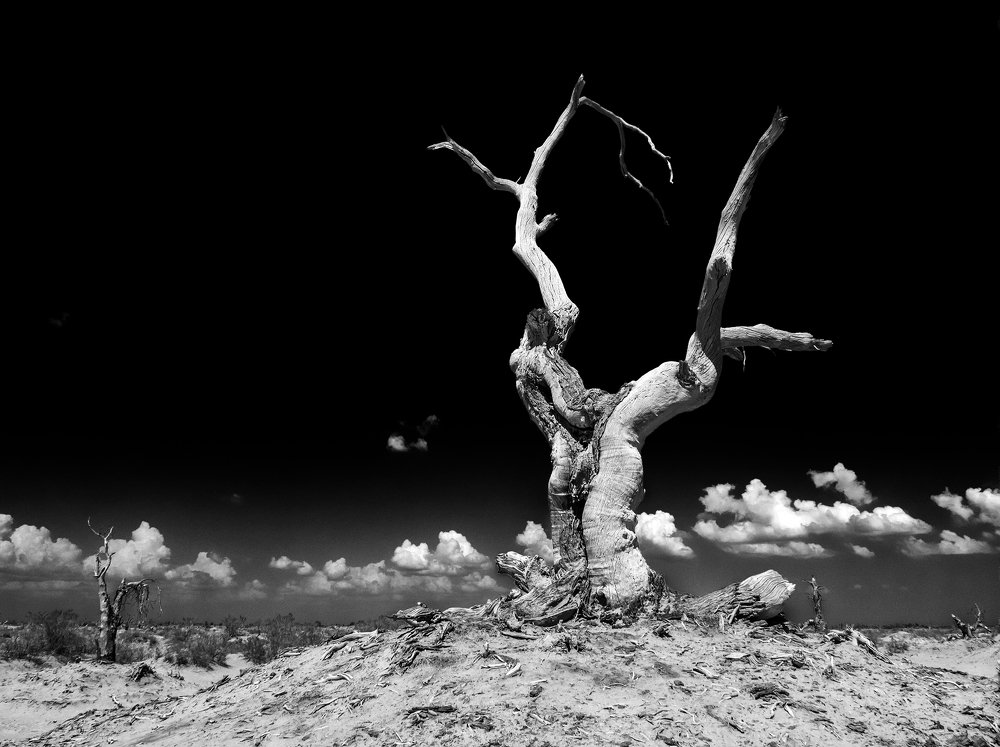 Любовь в пустыне...