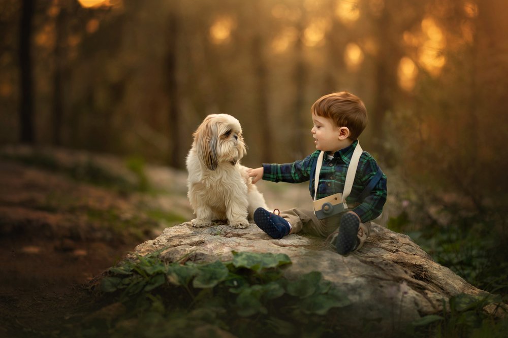 Photograph by yarden kaplan