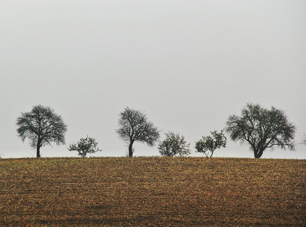 Photograph by Светлана Фладунг