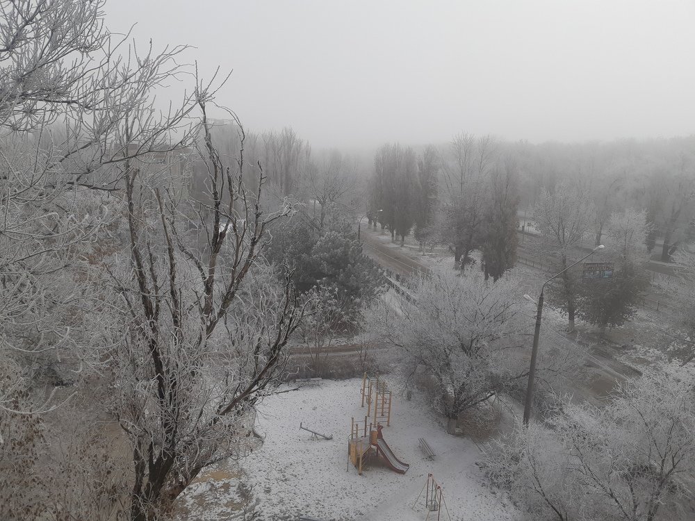 На утроннию прогулку.