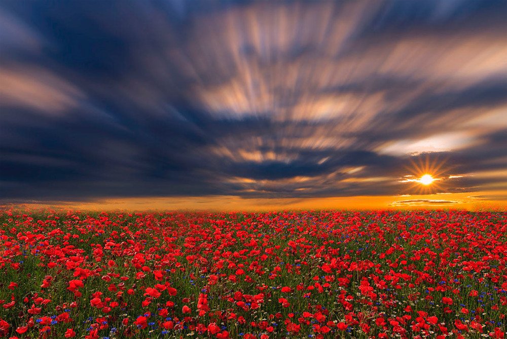 Photograph by Nexter