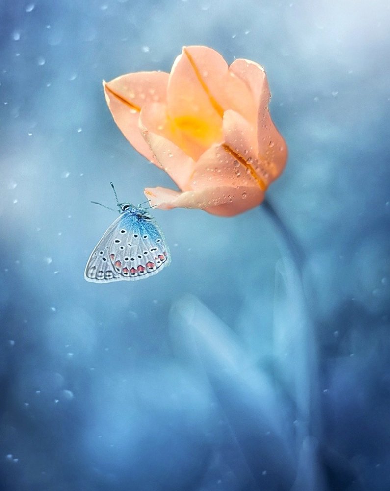 После дождя