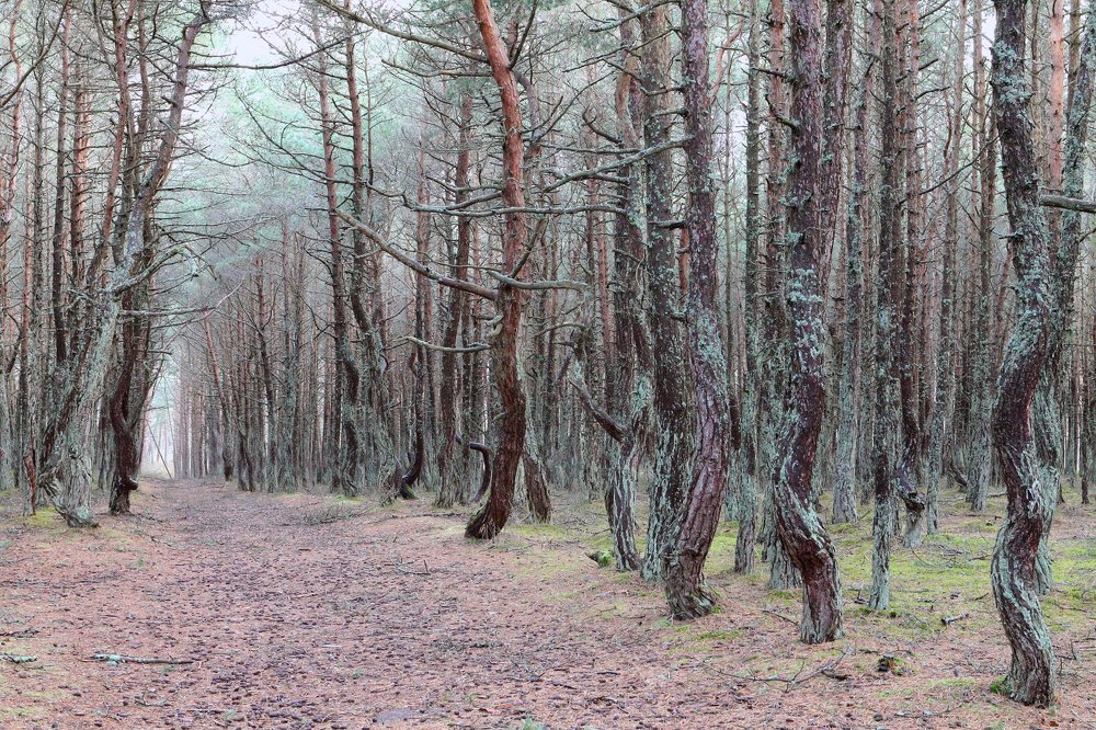 Photograph by Елена Врублевская