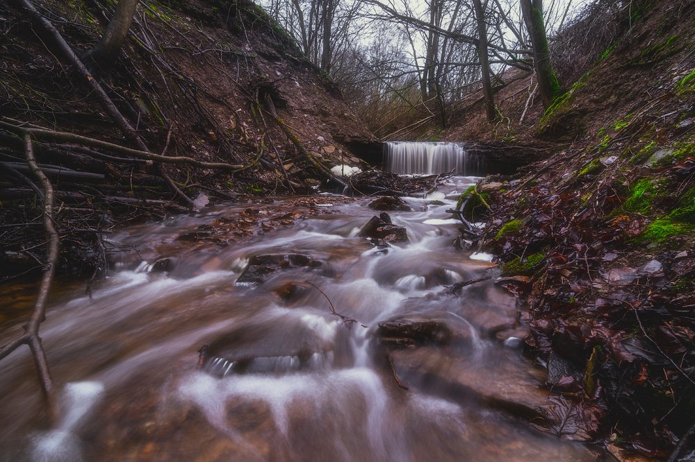 Фотография автора Майя Афзаал