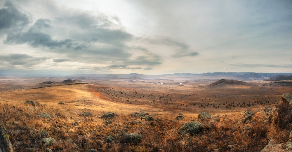 Поле брани.