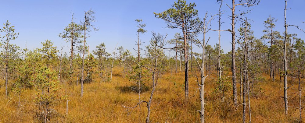 Photograph by Елена Врублевская