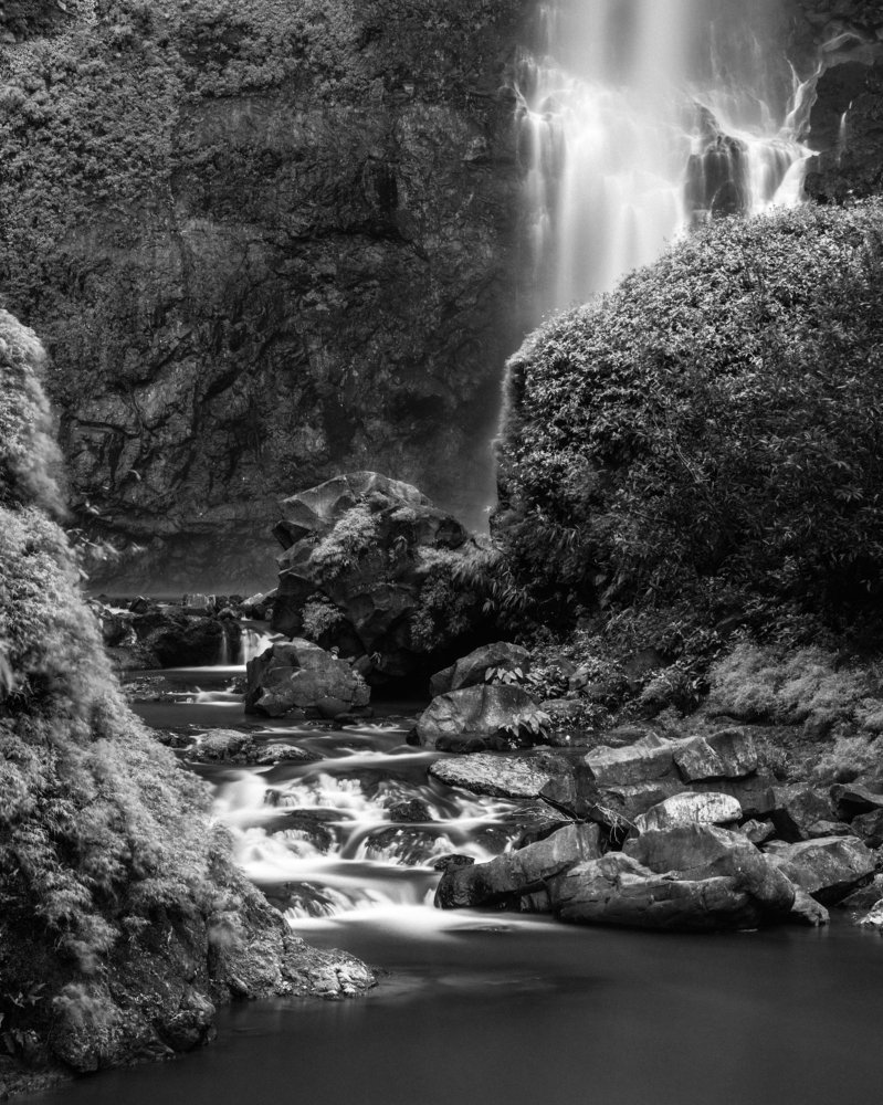 Photograph by fadil tally