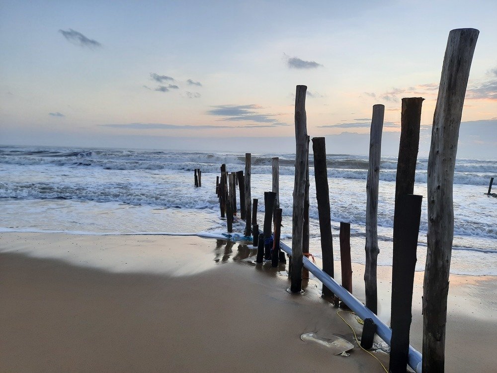 A Grub for Land Marine