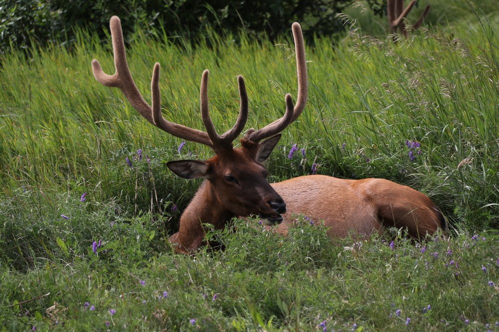 Photograph by Иван Кичев