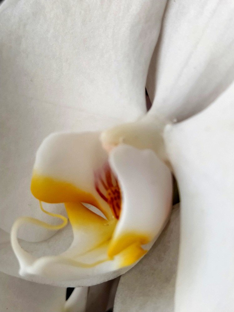 Photograph by Karina Yakovleva