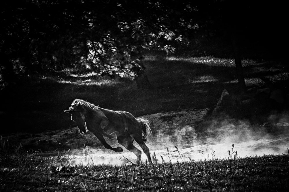 Экспрессия.