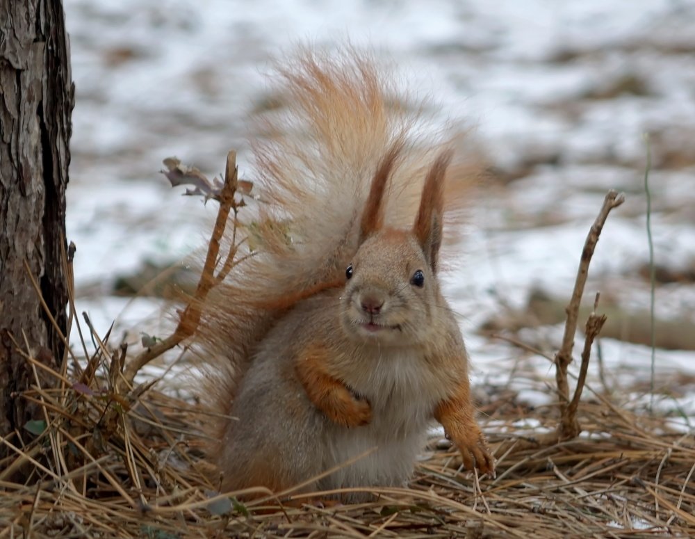 Посижу с вами немного и дальше побегу...