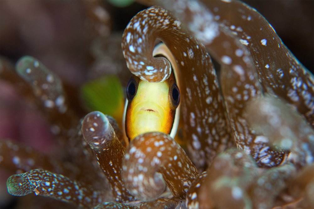 Фотография автора Нарчук Андрей