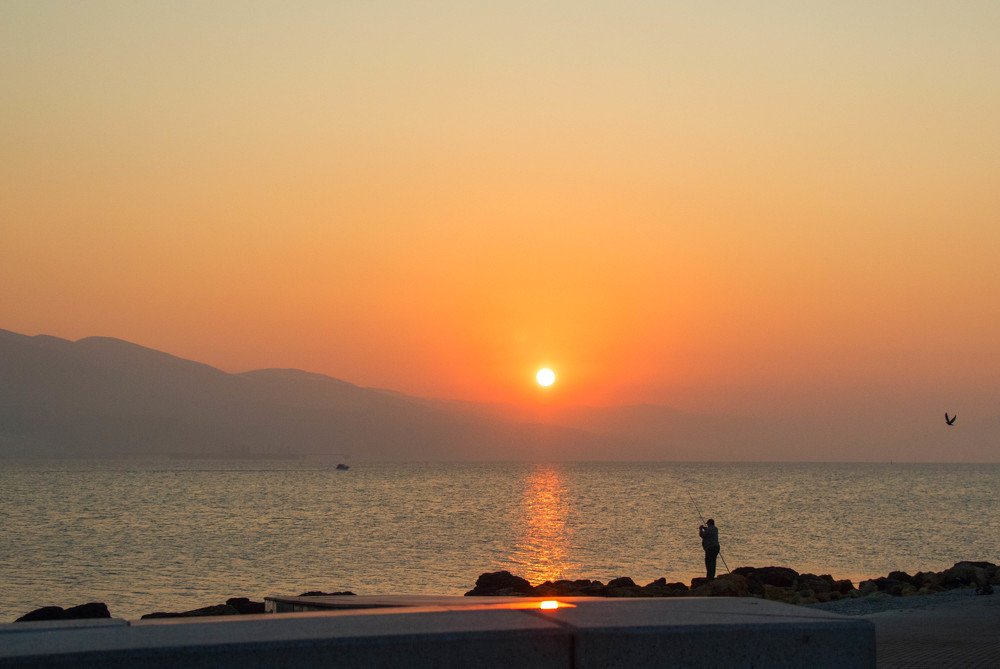 Photograph by Владимир Журавлев