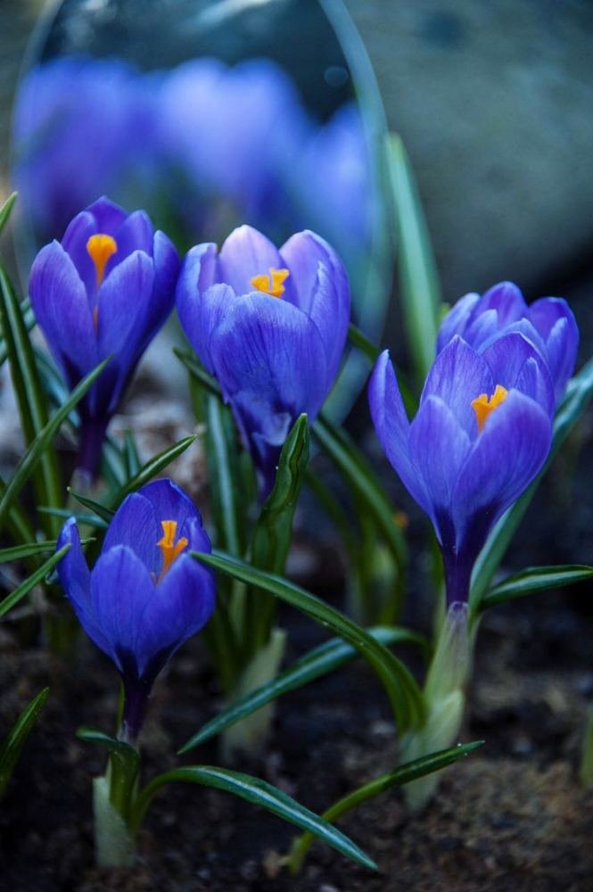 Photograph by Сафронова Любовь