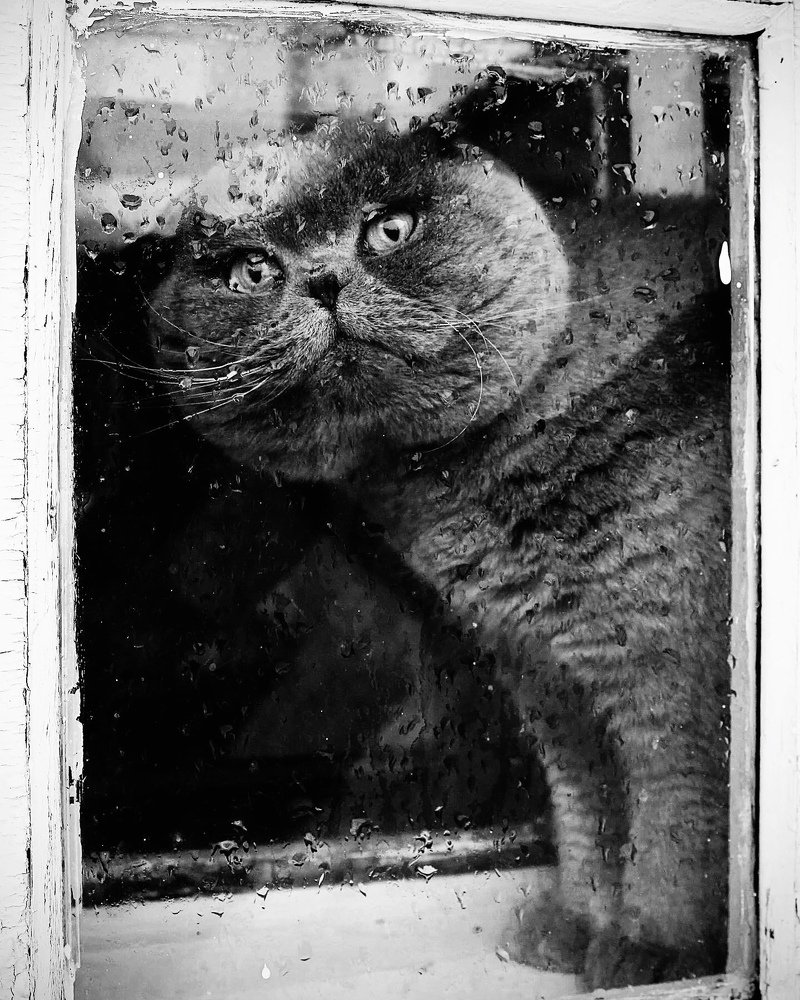 Photograph by Виктория Дудар