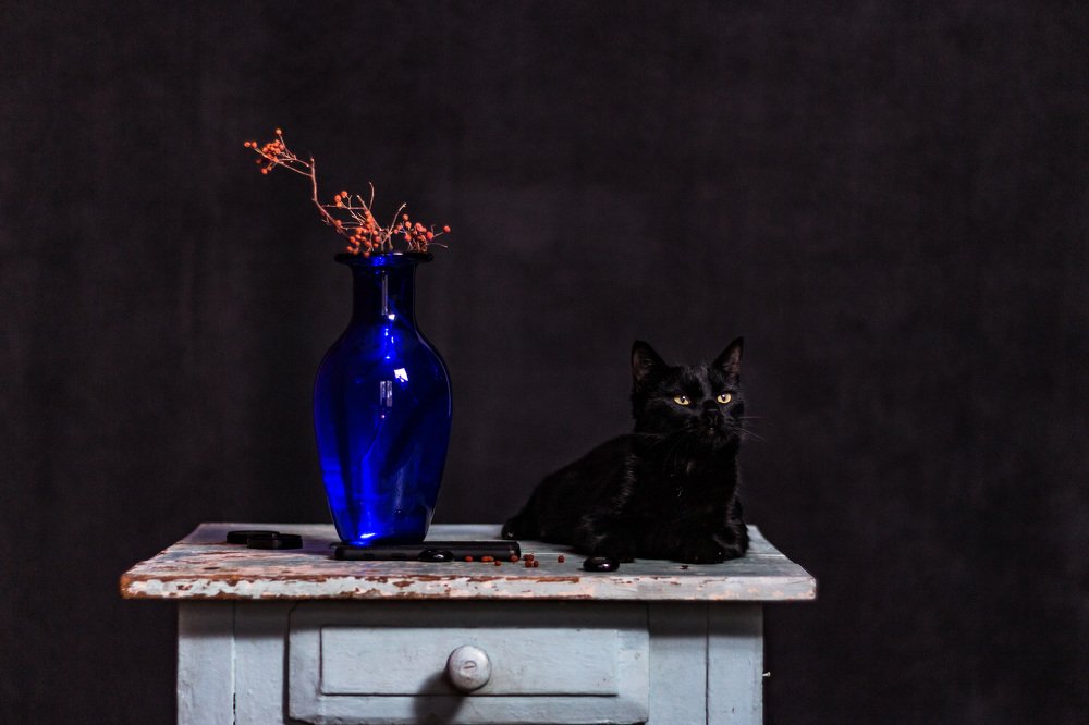 Photograph by PoulYak