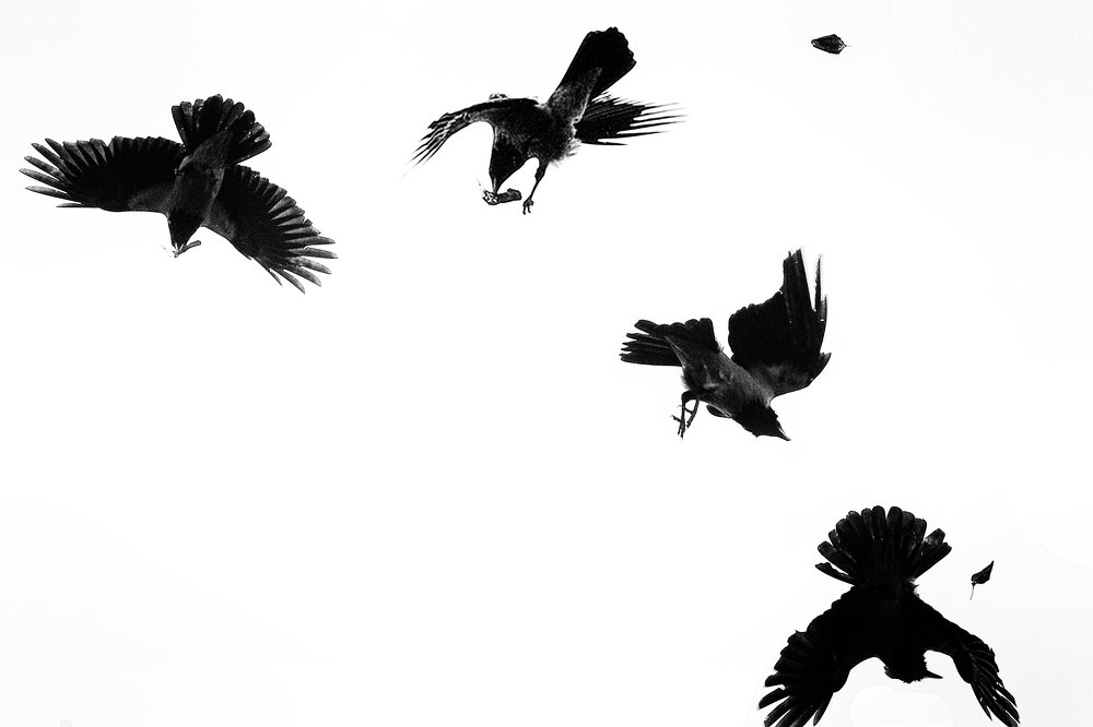 Игра с лиством