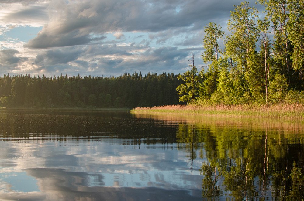 Photograph by Борис Шохин