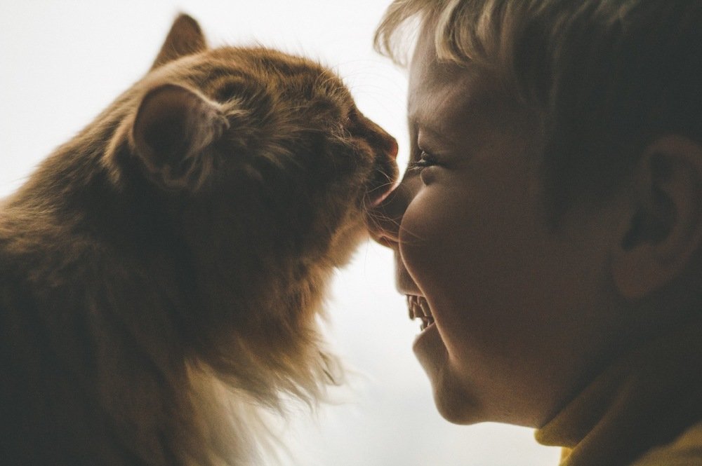 Photograph by Екатерина Андросова