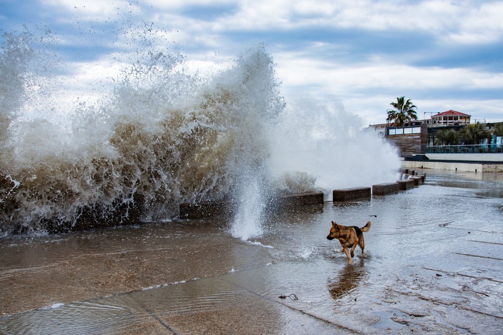 Противостояние