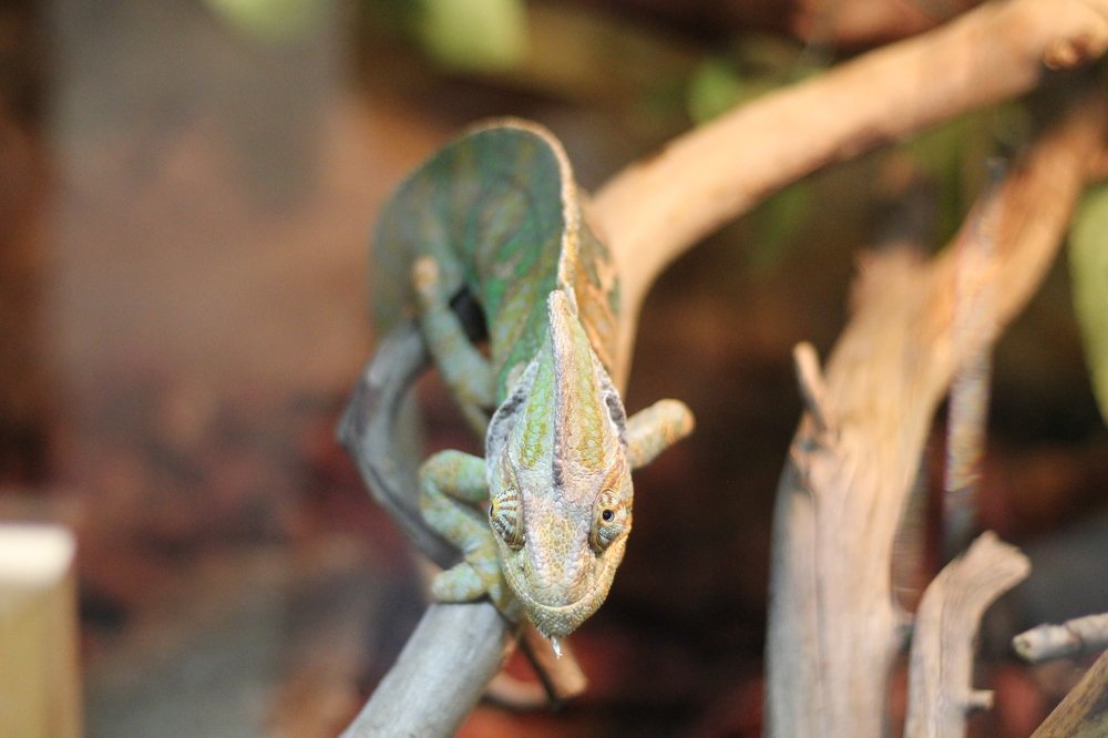 Photograph by Галина