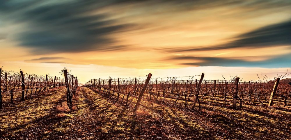 Photograph by Radoslav Garec