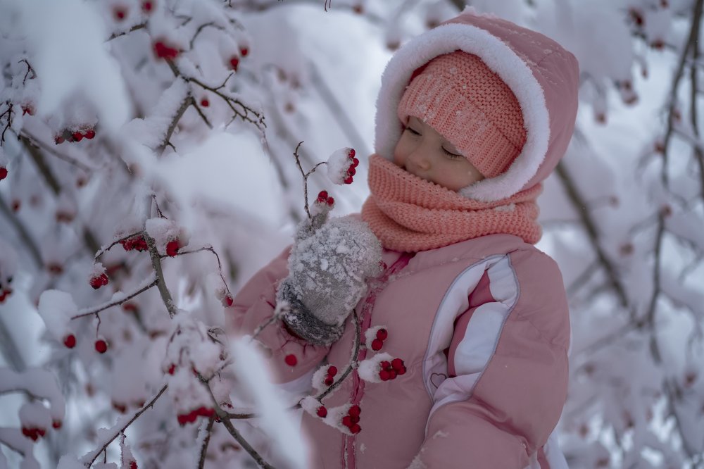 Фотография автора Анна Ватансевер
