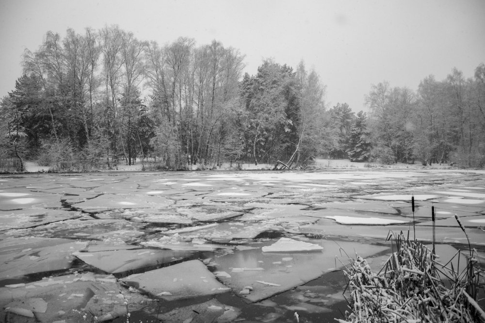 Photograph by Андрей Апанасевич