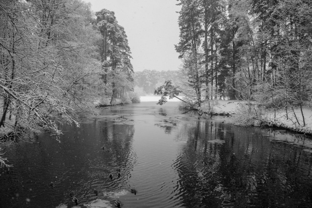 Photograph by Андрей Апанасевич
