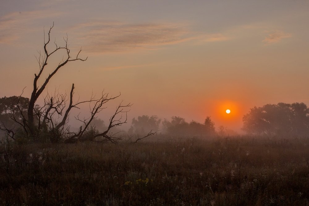 Photograph by Анатолий Степанович Степанов