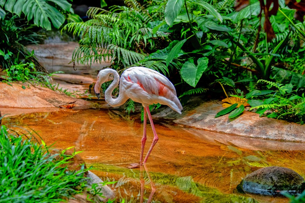 Photograph by Мари Полищук