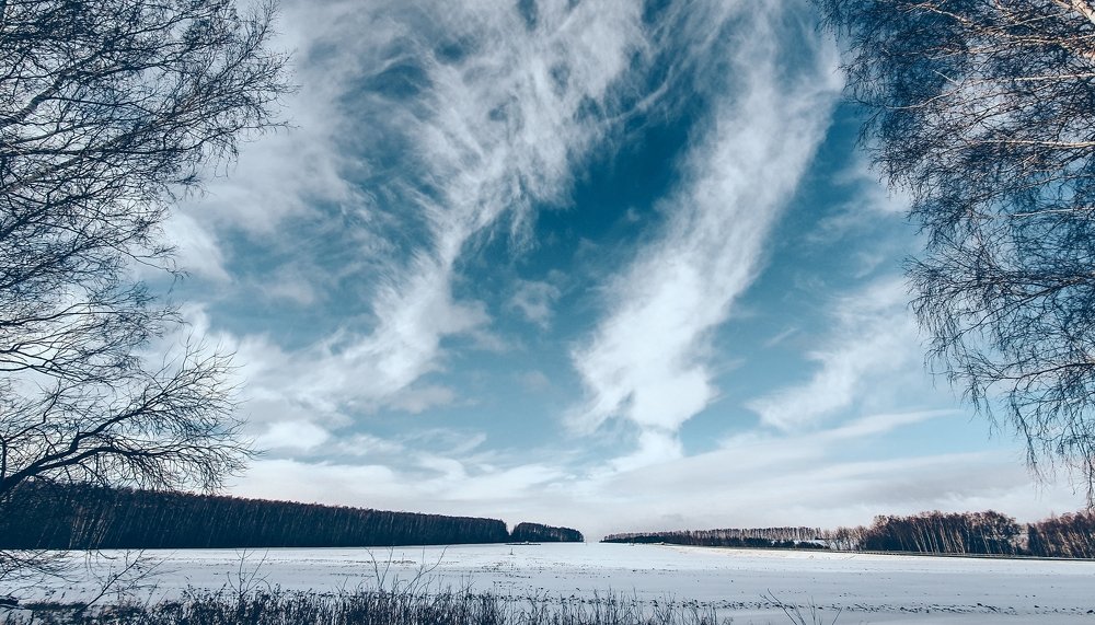 Photograph by Алеся Петрыкина