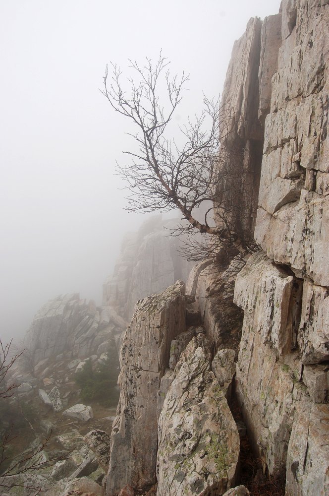 Жизнь на отвесной скале