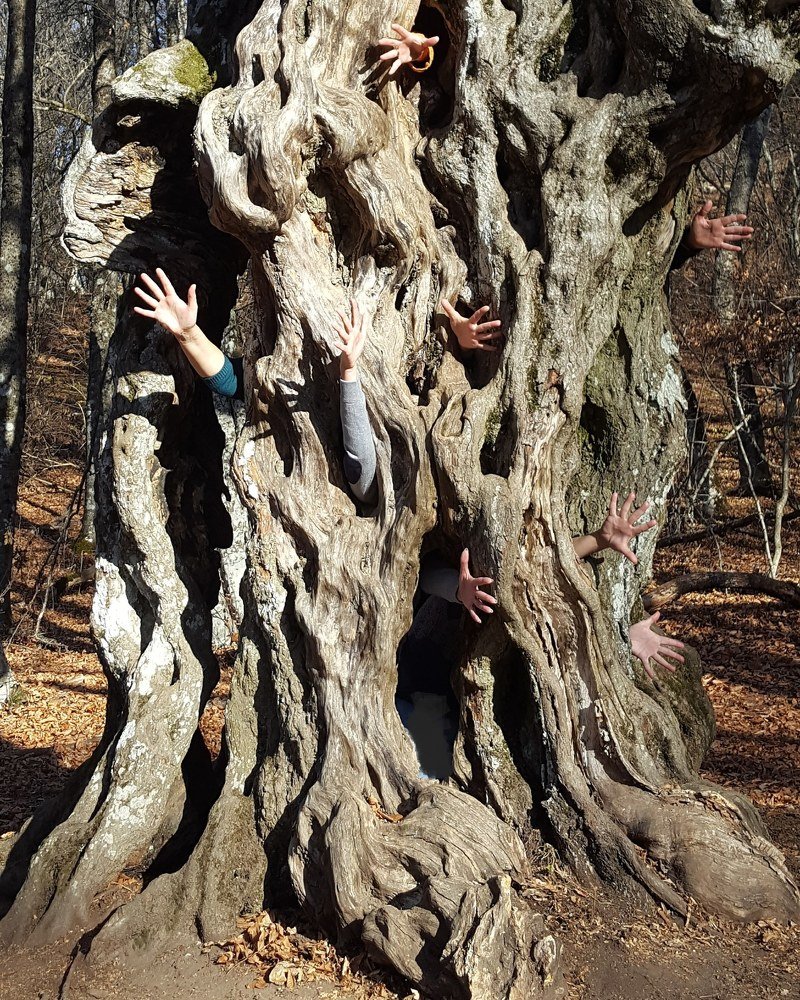 Photograph by Евгений Фесенко