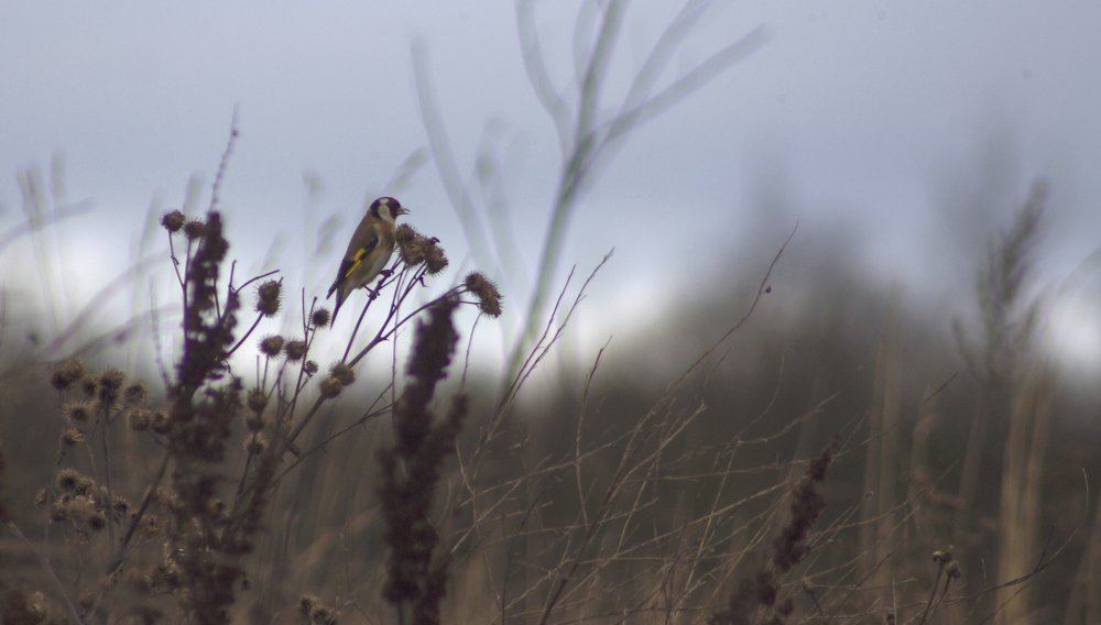 Photograph by Алексей Захаренко