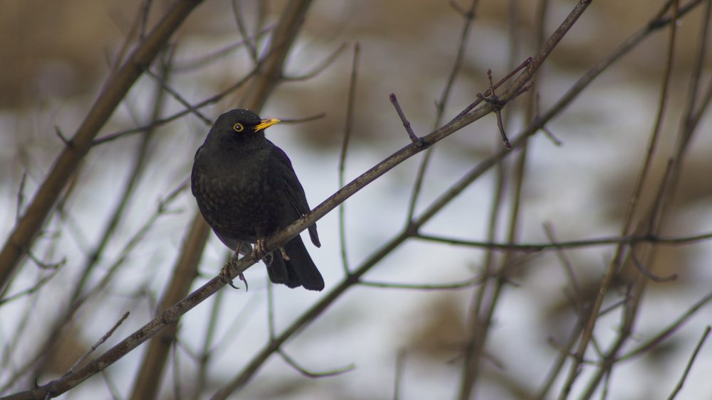 Photograph by Алексей Захаренко