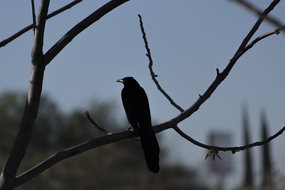 Photograph by Alejandro Meléndez Olvera