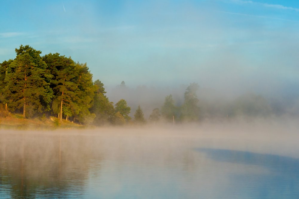 Тени и духи...