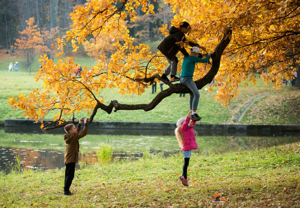 В Павловске.