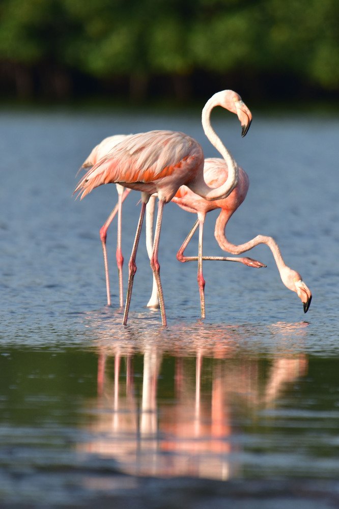 Photograph by Marcia Paul-Assing