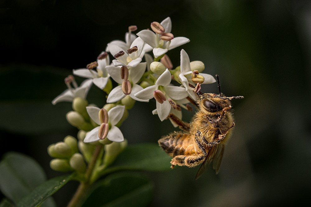 Photograph by Meire Rueda