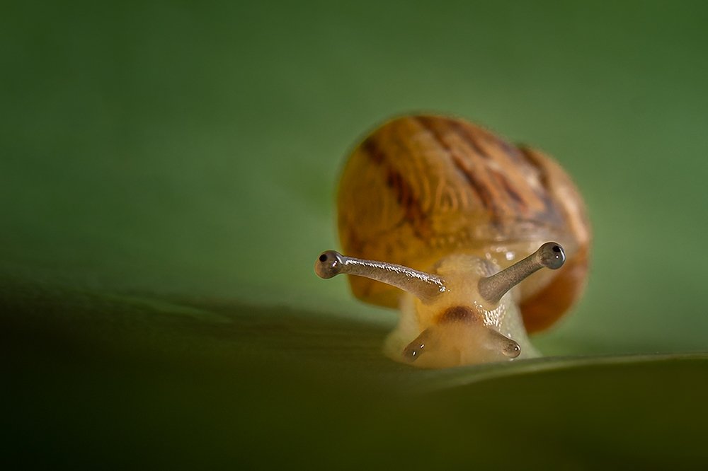 Photograph by Meire Rueda