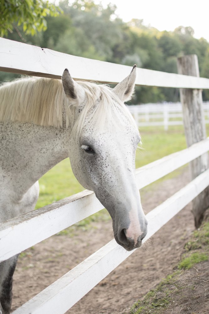 Photograph by Irina Stanislavskaya