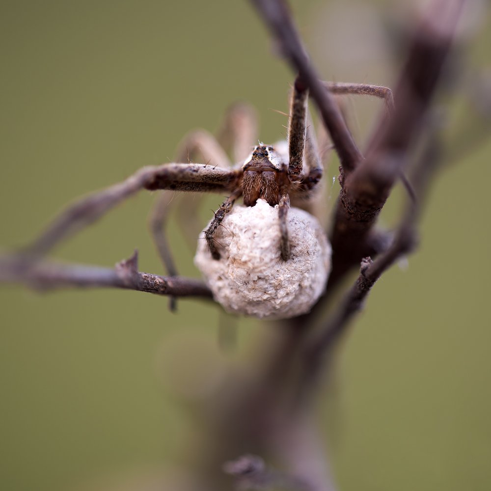 Photograph by Игорь ФУММ