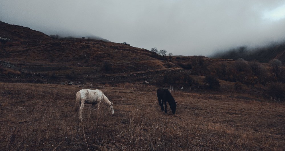 Photograph by Айшат Чупанова