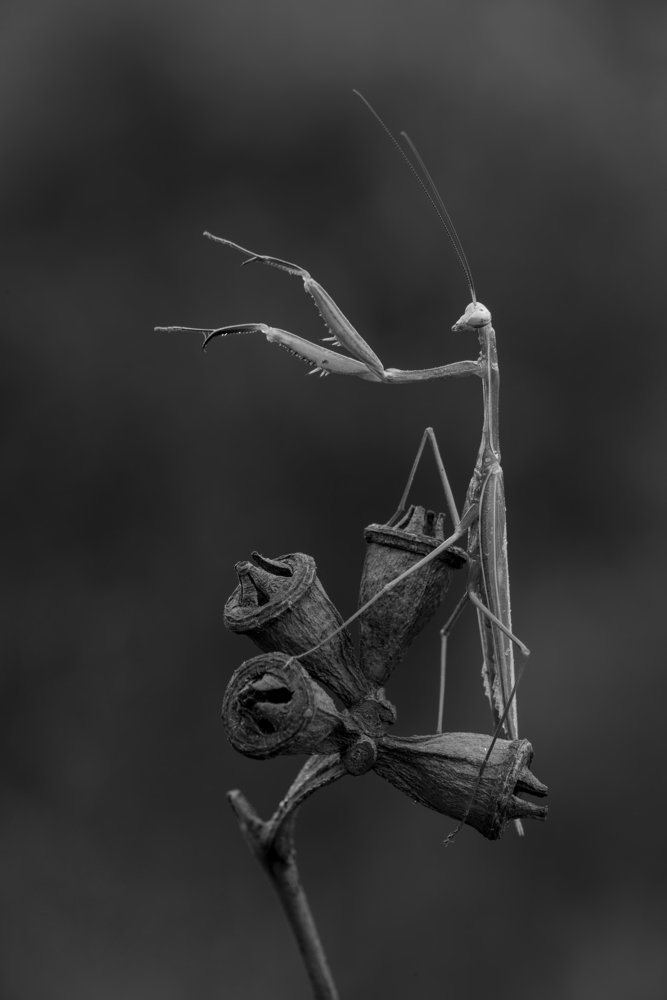 Photograph by Игорь ФУММ